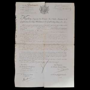 The document signed by Napoleon Bonaparte. NEW PRICE!