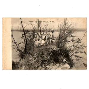 Postcard No. 52 of a series of "Volga": "eagle's nest" 