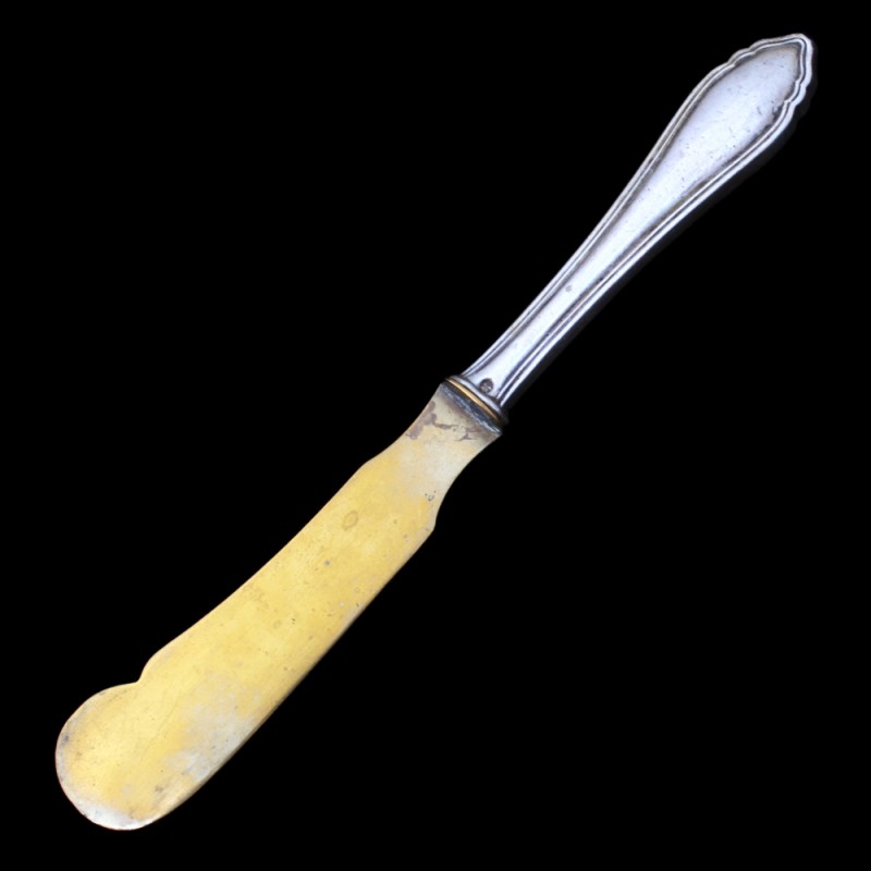A fruit knife with a silver handle