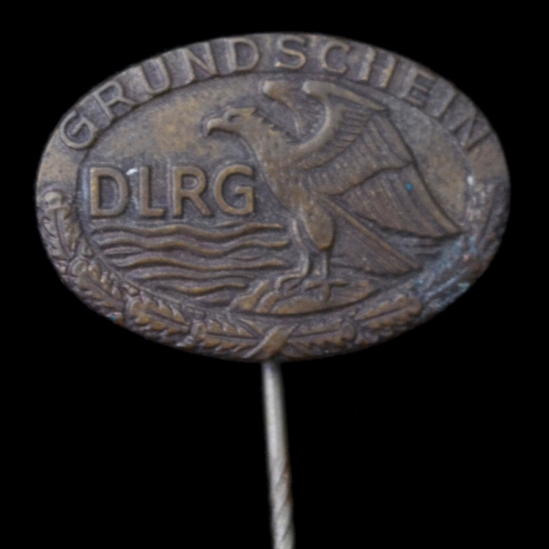 Sign organization DLRG in bronze
