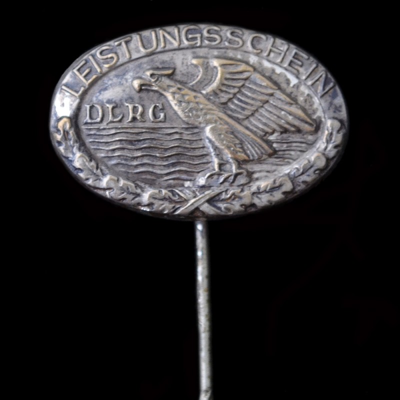 Sign organization DLRG in silver