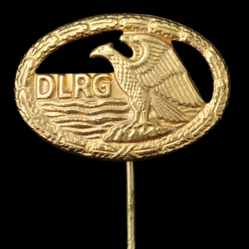 Sign organization DLRG in gold