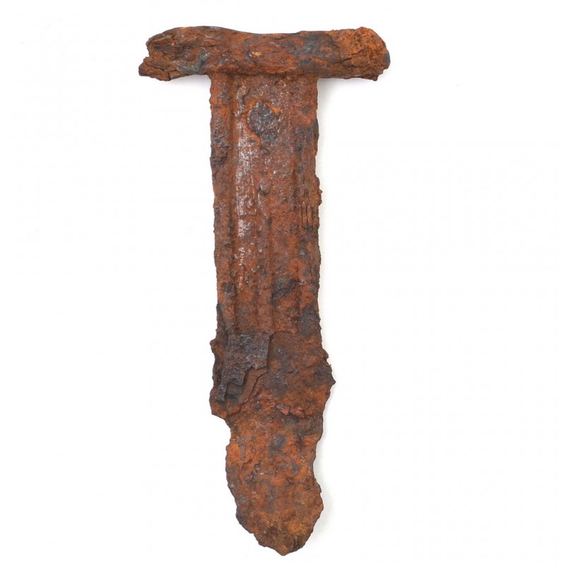 Massive grip from the Scythian sword – akinak
