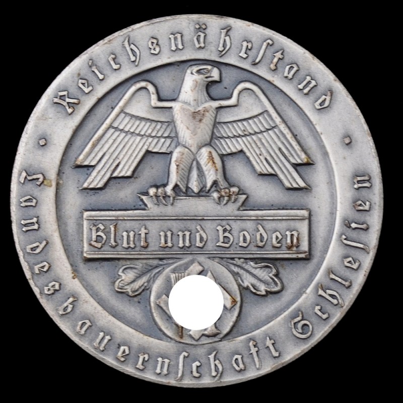 Medal for merit in the organization "Blood and soil" province of Silesia