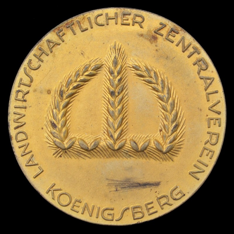 Gold medal of the Central society C/x g. Koenigsberg