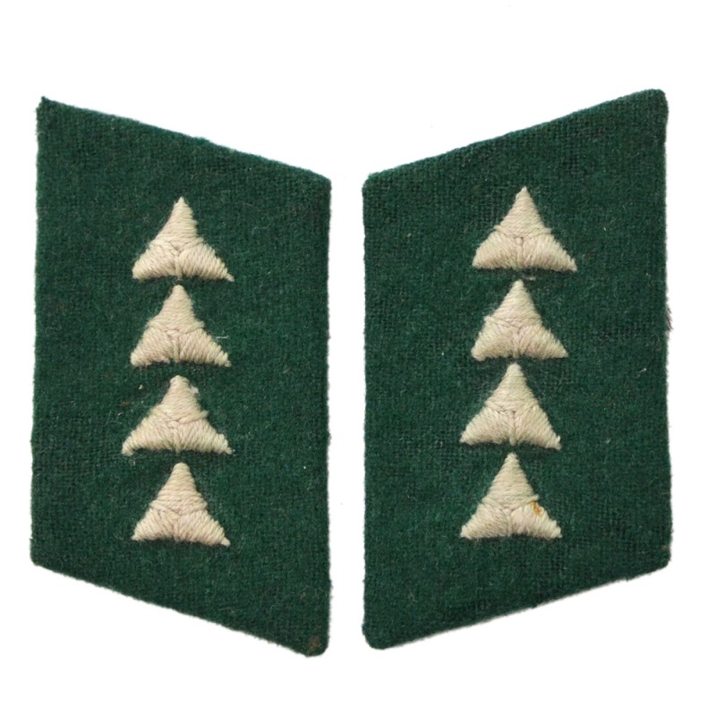 Buttonholes of a Luftwaffe military official with the rank of sergeant