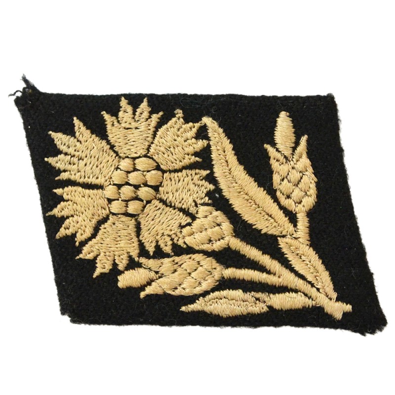 Buttonhole from the tunic of the lower rank of the 22nd SS Cavalry Division "Maria Theresa"