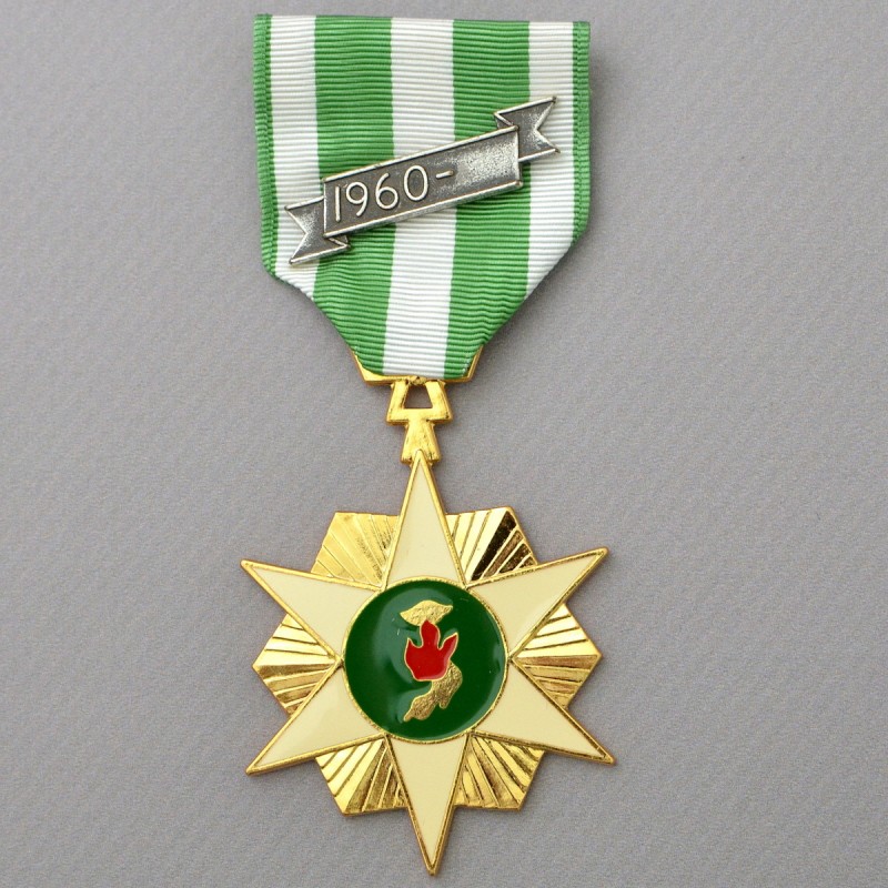 Vietnam Medal for participation in the military campaign for the United States