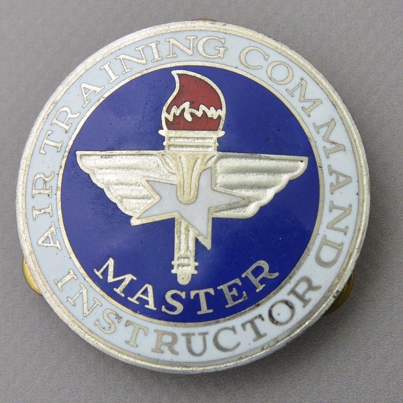 Badge of the Master instructor in Air Education and training of the US Air Force