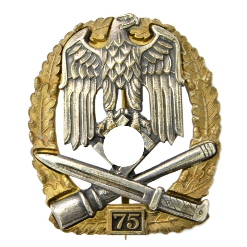 Qualification badge for 75 days of fighting, copy