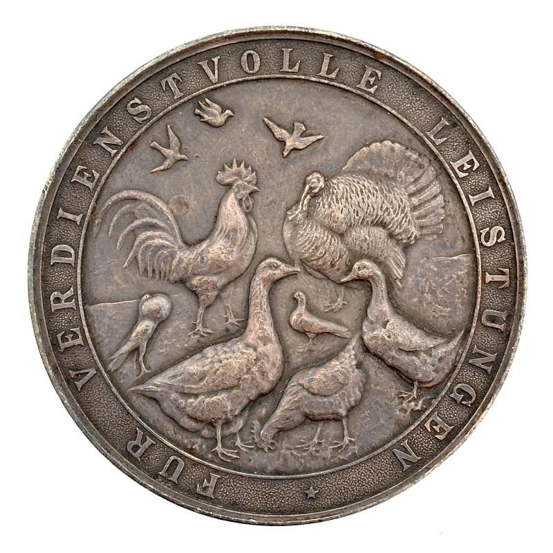 Large Silver Medal of Merit of the Ministry of Agriculture of Mecklenburg