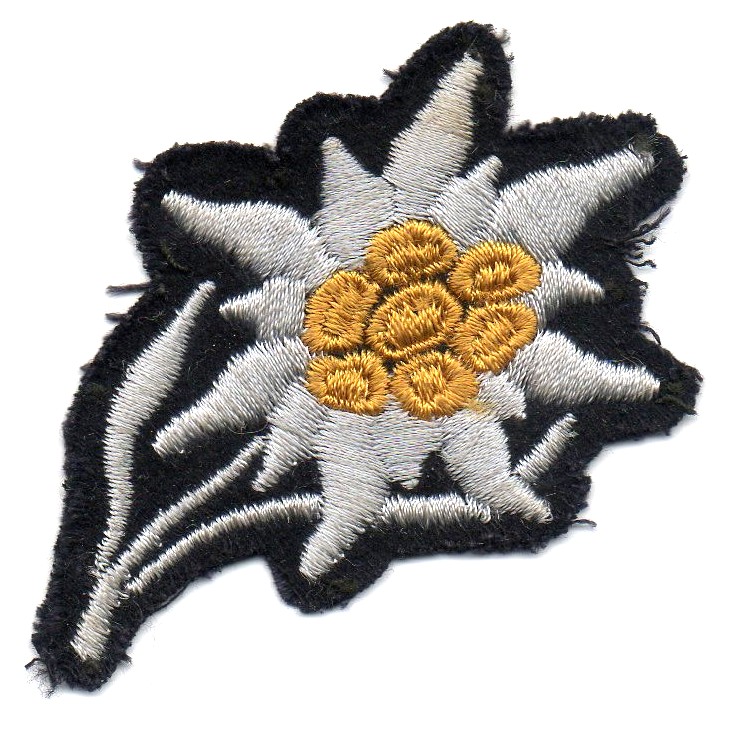Patch on the cap of the SS mining and jaeger units