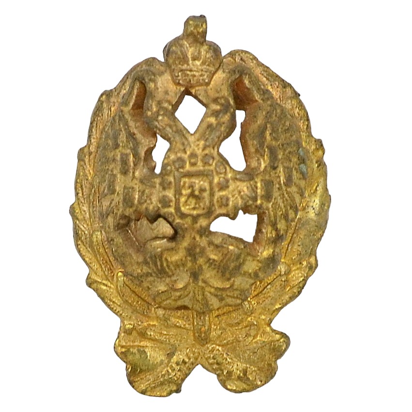 The lapel emblem of a Russian official