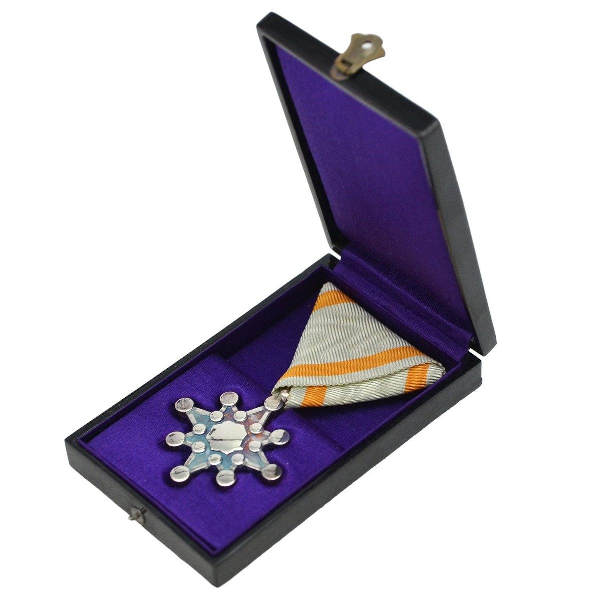 The Japanese Order of the Sacred Treasure of the 8th class in the original case