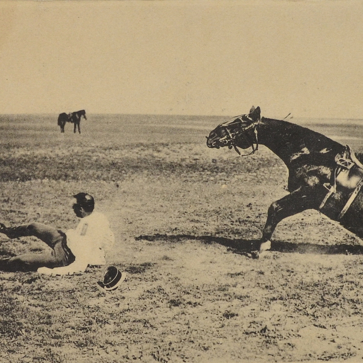 Postcard "Officer Cavalry School"