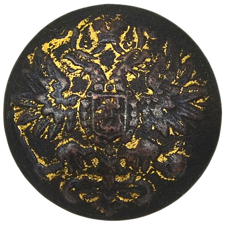 The button of the RIA Infantry officers