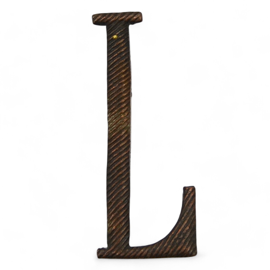 Roman "L" encryption from the shoulder strap or epaulette of the RIA pilot