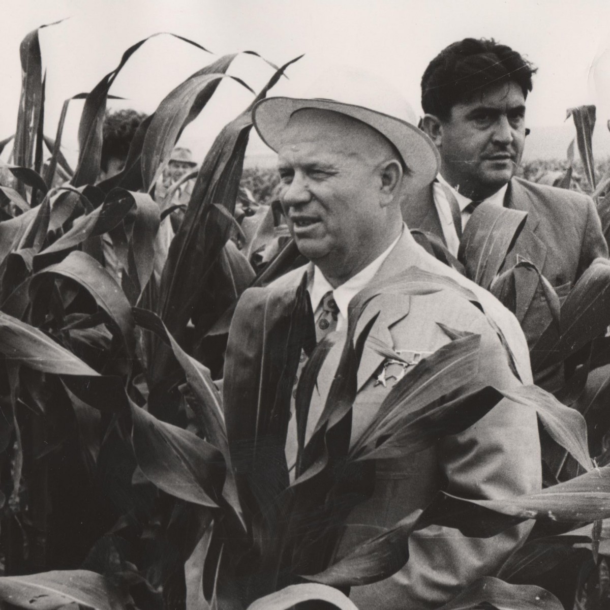 Photo of N.S. Khrushchev in a cornfield, 1943