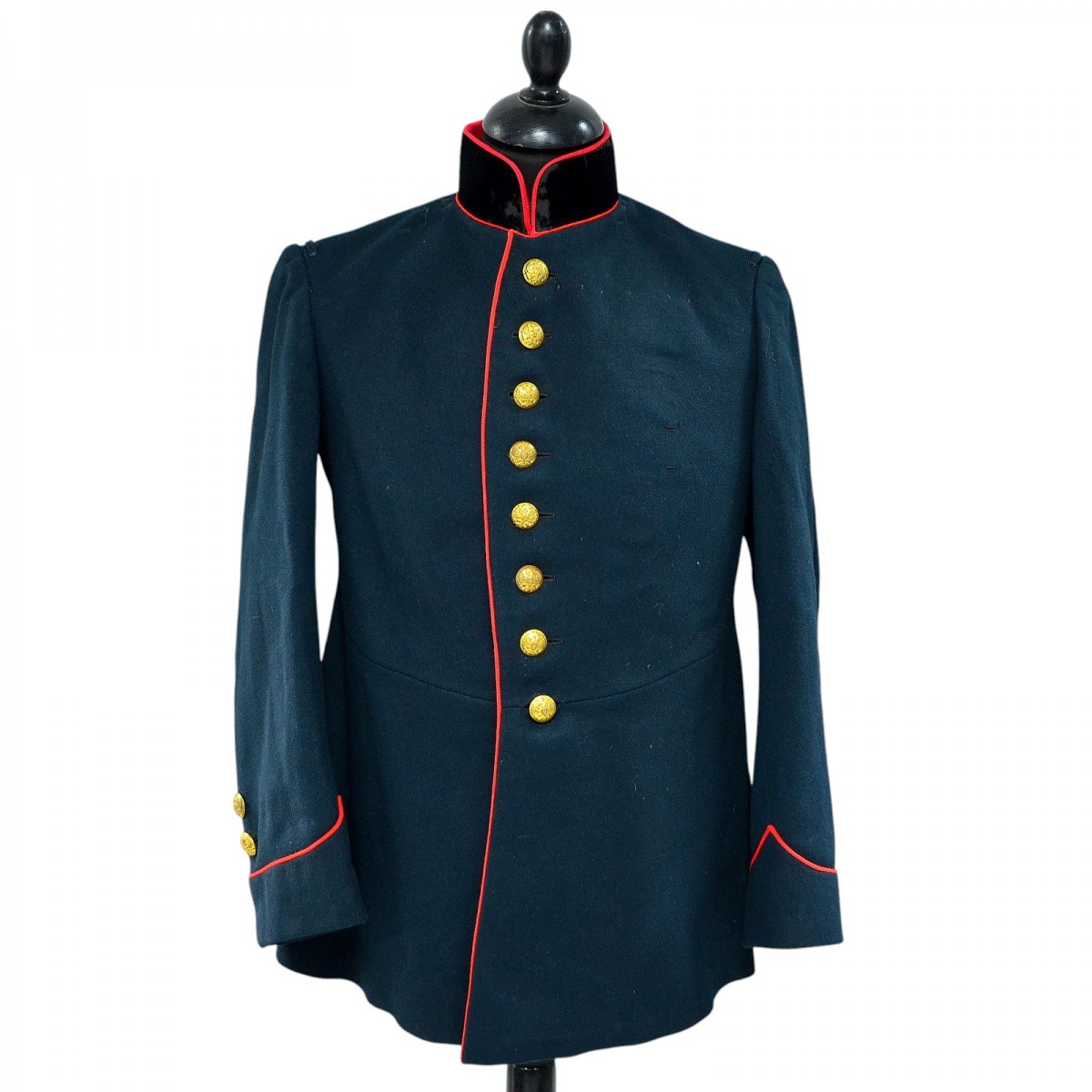 The uniform of an officer of the army horse artillery RIA