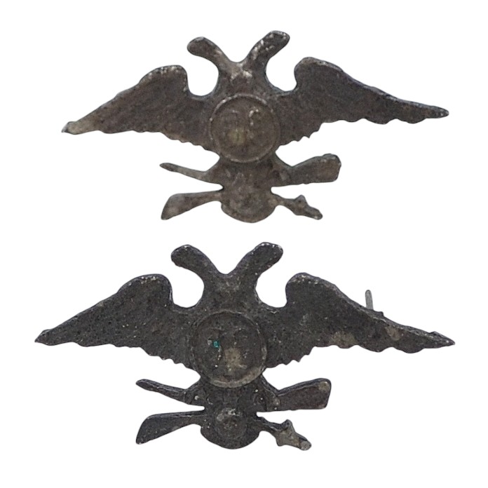 Emblems on the field shoulder straps of an officer of the RIA flight units, a copy