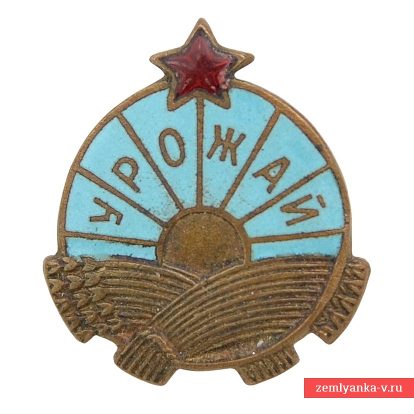 The lot of icons of the DSO "Harvest"