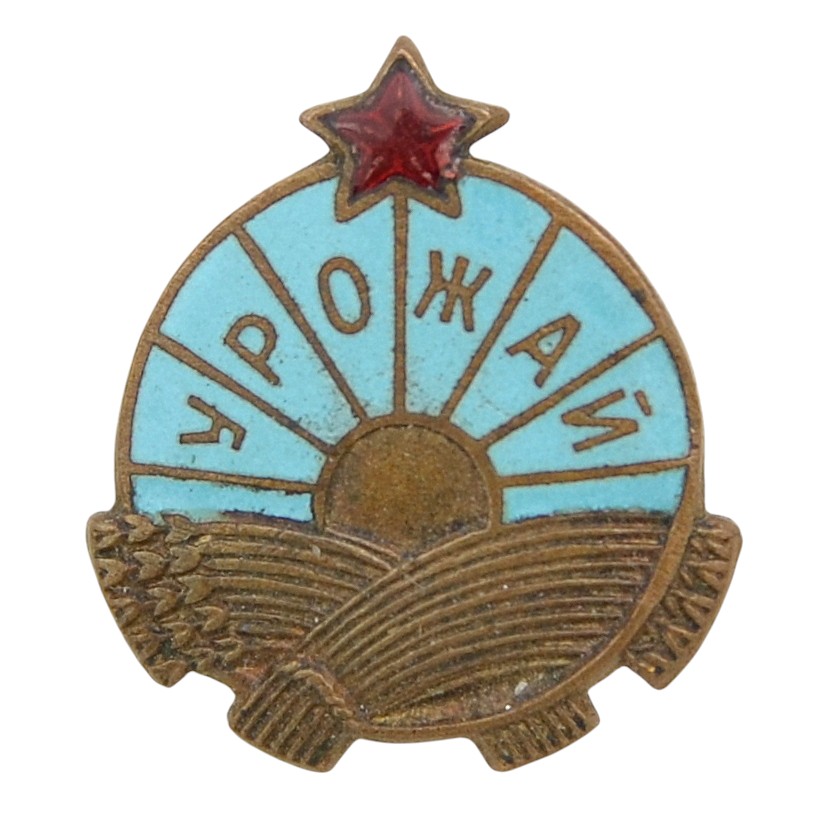 The lot of icons of the DSO "Harvest"