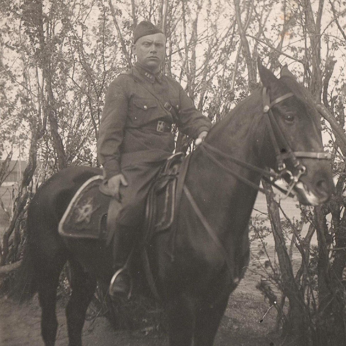 Photo of the regimental commissar (?) of the Red Army on a horse with a rare waltrap