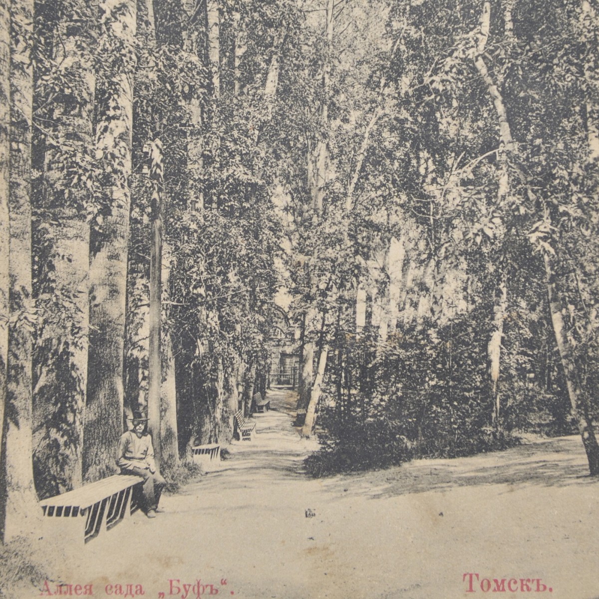 A postcard from the Tomsk series: "Alley of the Buf Garden"