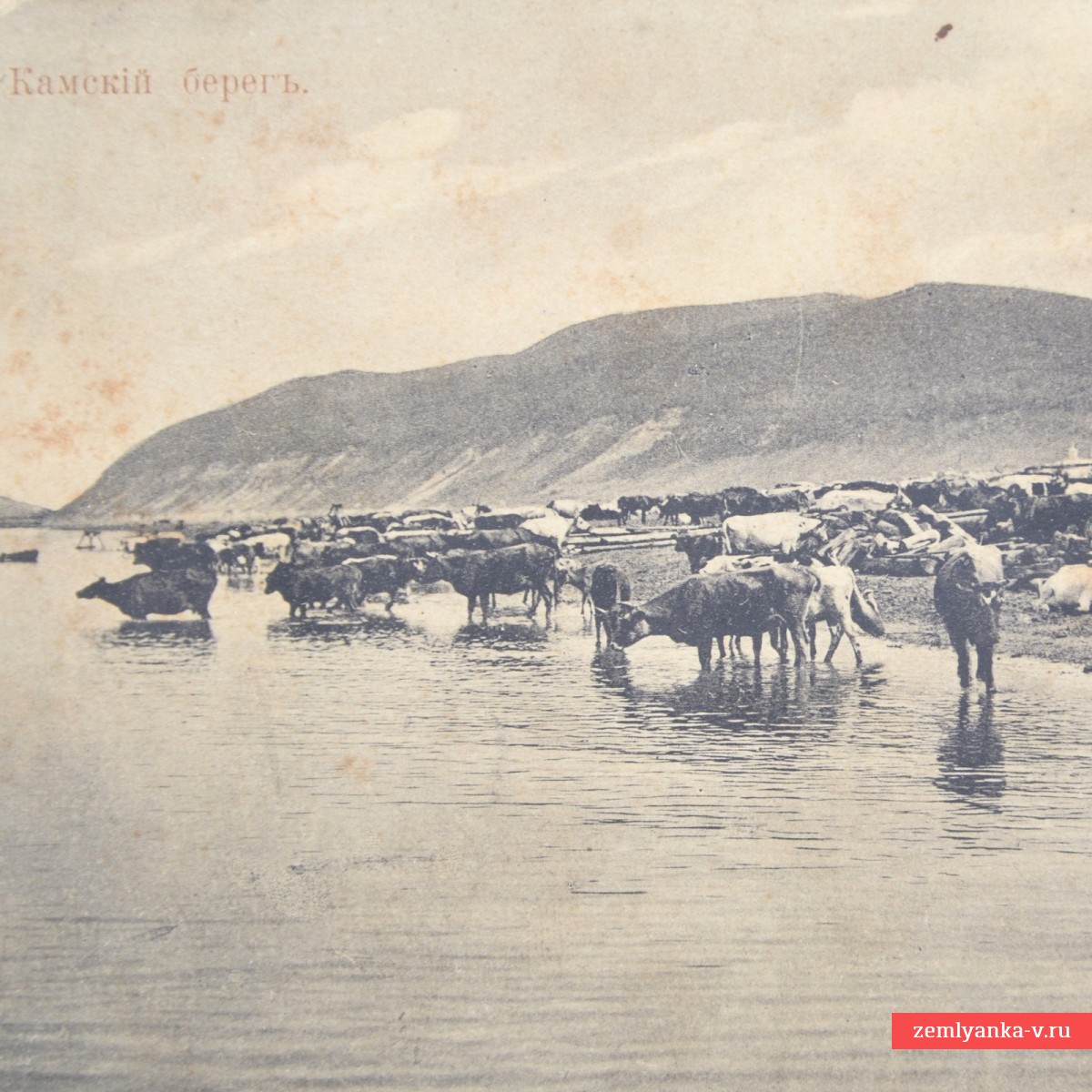 Postcard (postcard) "Kamsky bereg"