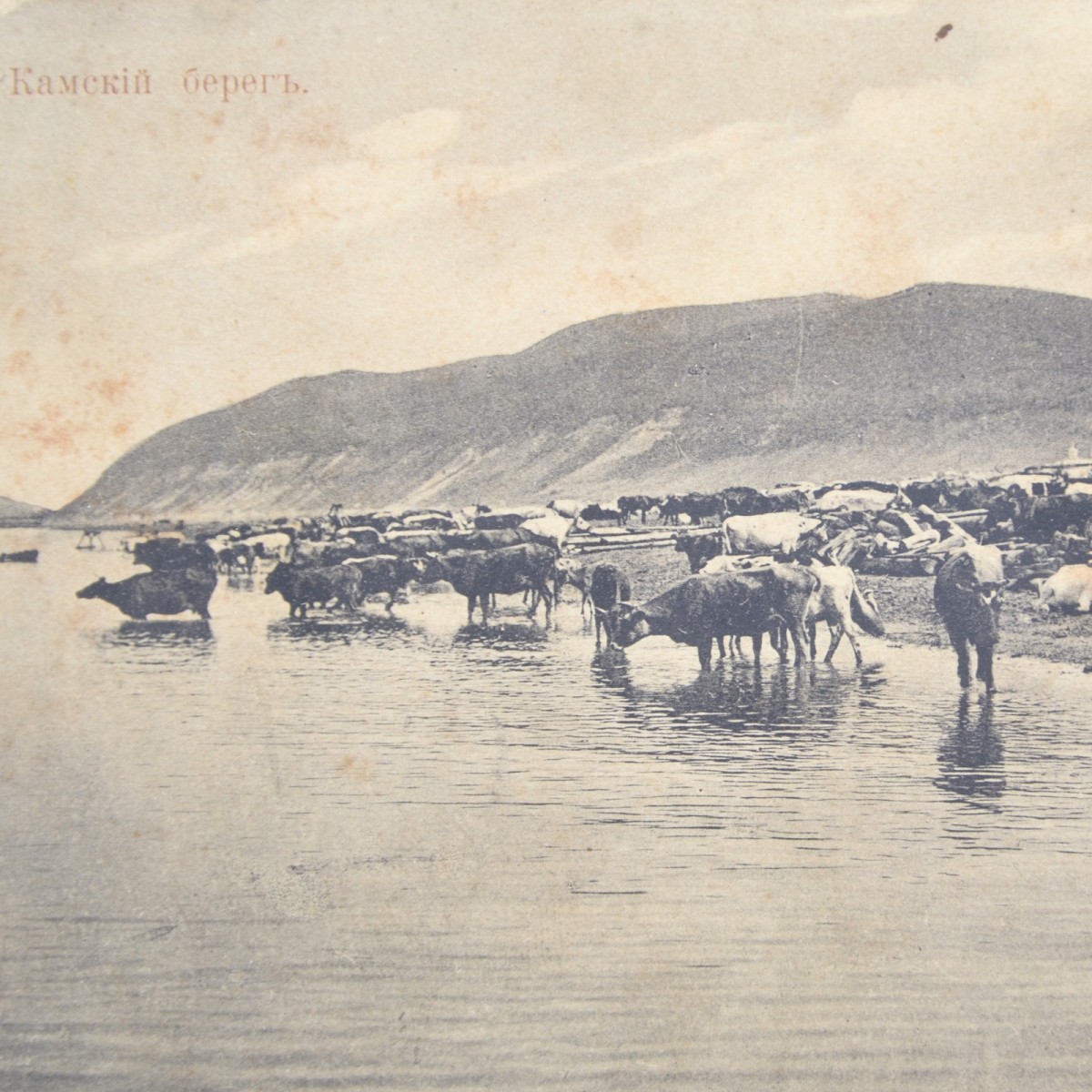 Postcard (postcard) "Kamsky bereg"